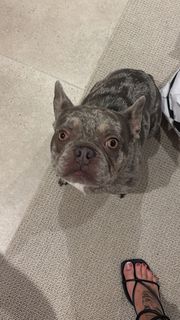 Malu Trevejo feet photo thumbnail