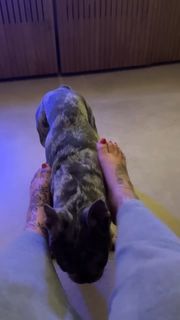 Malu Trevejo feet photo thumbnail