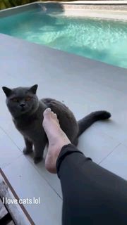 Malu Trevejo feet photo 11
