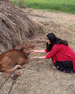 Malvika Sharma feet photo 12
