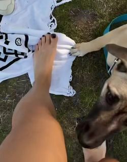 Malwina Wedzikowska feet photo 4