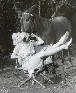 Mamie Van Doren feet photo 11