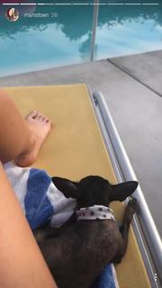 Mamrie Hart feet photo 19