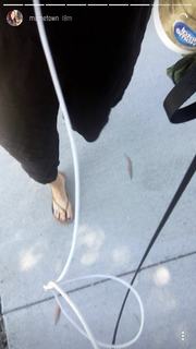 Mamrie Hart feet photo 17