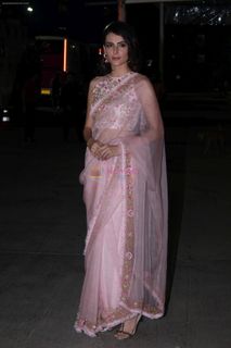 Mandana Karimi feet photo 3