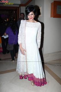 Mandira Bedi feet photo 4