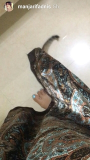 Manjari Fadnnis feet photo 12