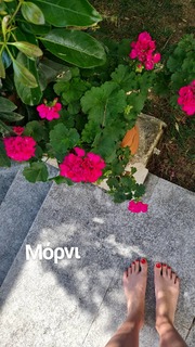 Manto Gasteratou feet photo 11