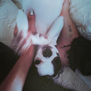 Manu Gavassi feet photo thumbnail