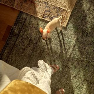 Manu Gavassi feet photo thumbnail