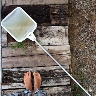Manuela Velasco feet photo thumbnail