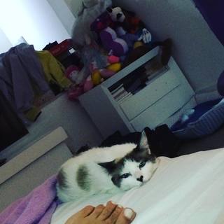 Mara Maravilha feet photo 3