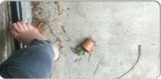 Marama Corlett feet photo 2