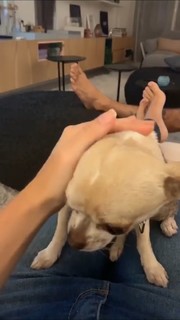 Marcela Fetter feet photo 19