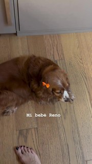 Marcela Kloosterboer feet photo thumbnail