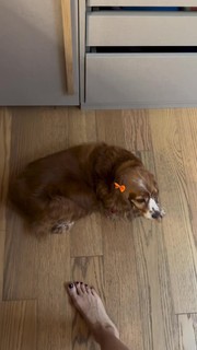 Marcela Kloosterboer feet photo thumbnail