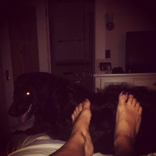 Marcela Valladolid feet photo 6