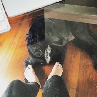 Marcela Valladolid feet photo 16