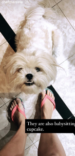 Marcela Valladolid feet photo 3