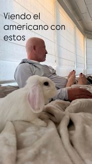 Marcela Valladolid feet photo 1