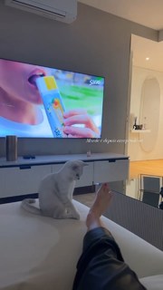 Margarida Corceiro feet photo thumbnail