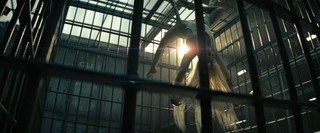 Margot Robbie feet photo thumbnail
