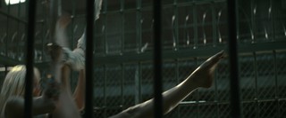 Margot Robbie feet photo thumbnail
