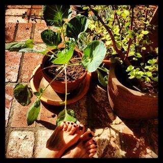 Marguerite Moreau feet photo thumbnail