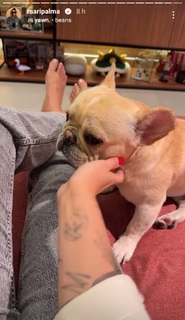 Mari Palma feet photo 12