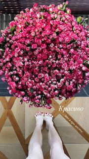 Maria Abashova feet photo thumbnail