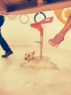 Maria Bakodimou feet photo thumbnail