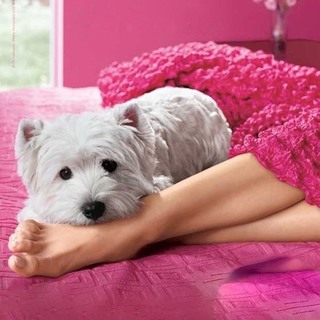 Maria Bakodimou feet photo thumbnail