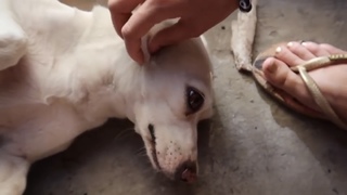 Maria Becerra feet photo thumbnail
