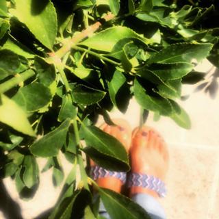Maria Bekatorou feet photo 13