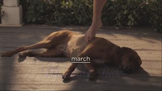 Maria Bello feet photo thumbnail