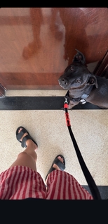 Maria Bopp feet photo 1