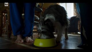 Maria Chiara Giannetta feet photo 4