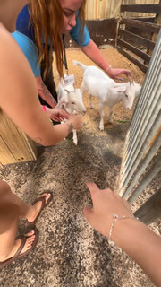 Maria Emanuelly feet photo 1