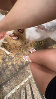 Maria Emanuelly feet photo 20