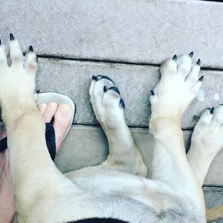 Maria Flor feet photo 16