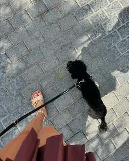 Maria Katharina Lea feet photo 10