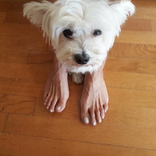 Maria Lekaki feet photo 13
