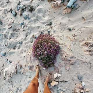 Maria Lekaki feet photo 4