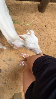 Maria Nicolly feet photo thumbnail