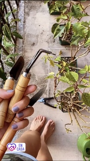 Maria Renee Perez Yonker feet photo 15