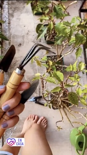 Maria Renee Perez Yonker feet photo 14