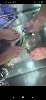 Maria Ryskala feet photo 15