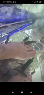 Maria Ryskala feet photo 14