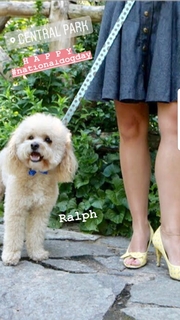 Maria Sansone feet photo 14