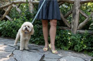 Maria Sansone feet photo 2